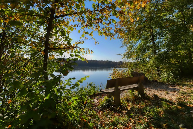 拉塞尔能在 拉塞尔能在